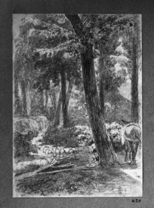 Dibuix - Paisatge d’Arbúcies