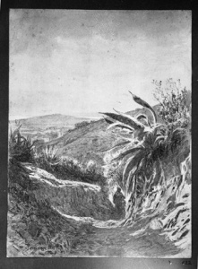 Dibuix - Sarrià (Barcelona) -