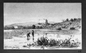 Dibuix - Can Tunis (Barcelona) -