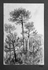 Dibuix - Tibidabo (Barcelona) -