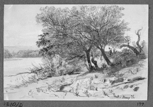 Dibuix - Paisatge del Prat de Llobregat -