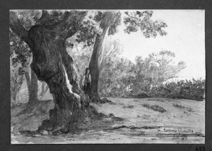 Dibuix - Torrent de Gironella