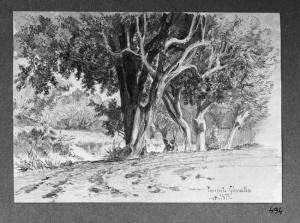 Dibuix - Torrent de Gironella