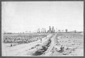 Dibuix - Can Tunis (Barcelona) -