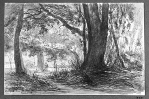 Dibuix - Paisatge de La Garriga -