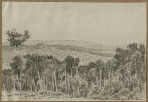 Dibuix - Paisatge de Cardona