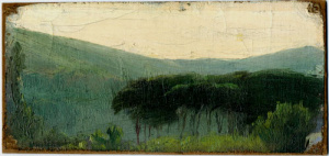 Pintura - Bosc de Vallvidrera -